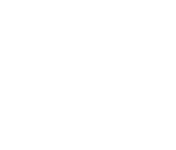 Rogue Cowboy
